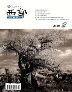 西部2020年2期