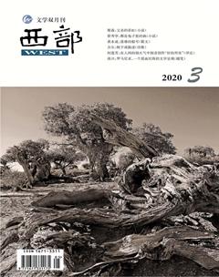 西部2020年3期