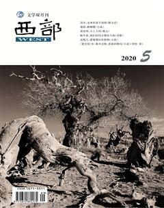 西部2020年5期