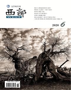 西部2020年6期