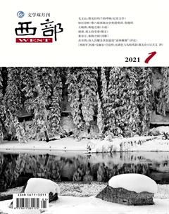 西部2021年1期