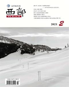 西部2021年2期