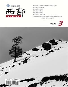 西部2021年3期
