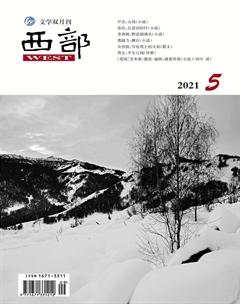 西部2021年5期