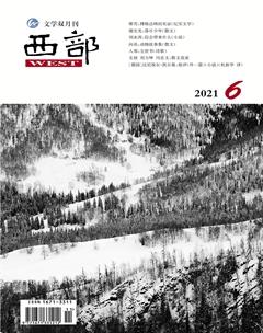西部2021年6期