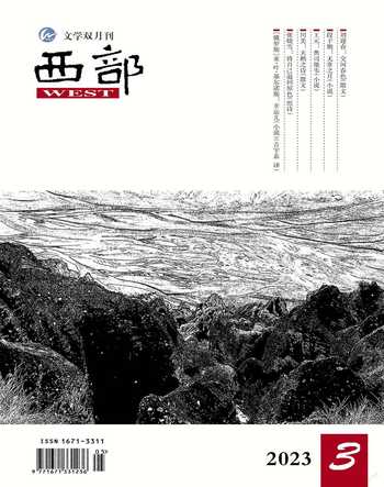 西部2023年3期