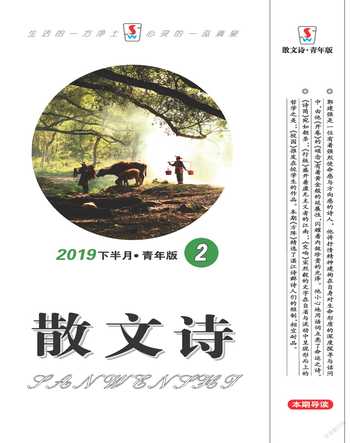 散文诗（青年版）2019年2期