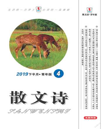 散文诗（青年版）2019年4期