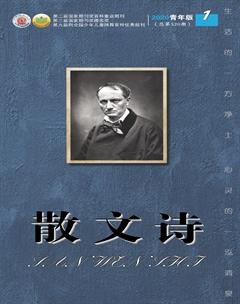 散文诗（青年版）2020年1期
