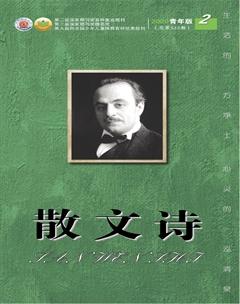 散文诗（青年版）2020年2期