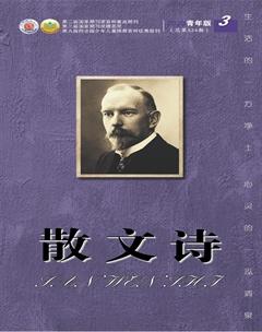 散文诗（青年版）2020年3期