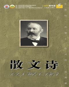 散文诗（青年版）2020年5期