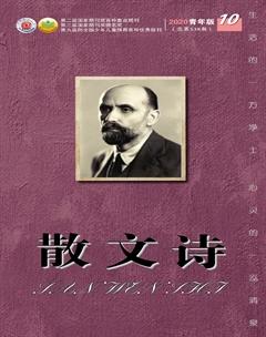 散文诗（青年版）2020年10期