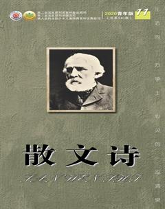 散文诗（青年版）2020年11期