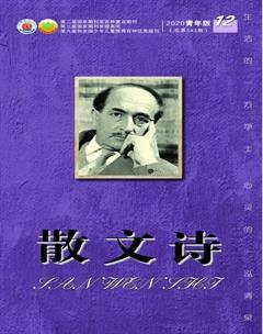 散文诗（青年版）2020年12期