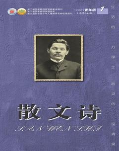 散文诗（青年版）2021年1期