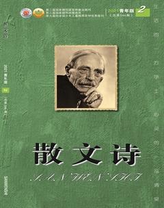散文诗（青年版）2021年2期