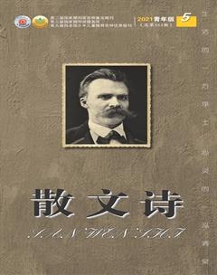 散文诗（青年版）2021年5期