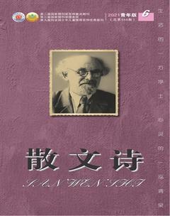 散文诗（青年版）2021年6期