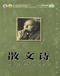 散文诗（青年版）2021年7期