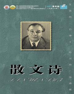 散文诗（青年版）2021年8期