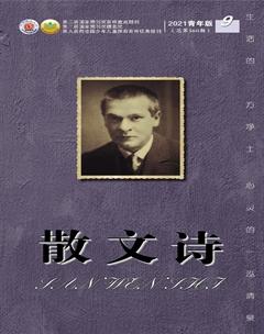 散文诗（青年版）2021年9期
