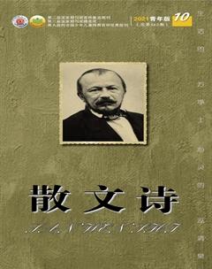 散文诗（青年版）2021年10期