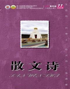 散文诗（青年版）2021年11期