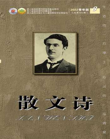 散文诗（青年版）2022年8期
