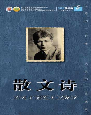 散文诗（青年版）2023年5期