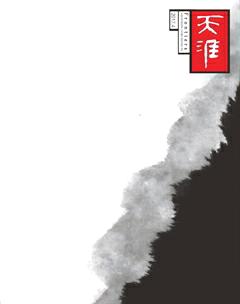 天涯2017年4期