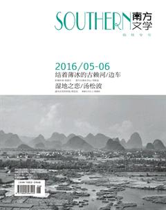 南方文学2016年6期