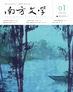 南方文学2020年1期