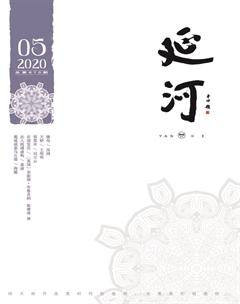 延河2020年5期
