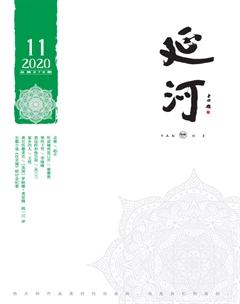 延河2020年11期