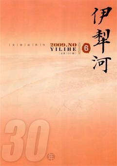 伊犁河2009年6期