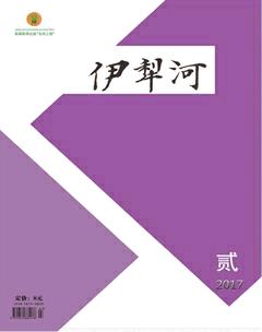 伊犁河2017年2期
