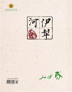 伊犁河2018年2期