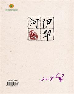 伊犁河2018年3期