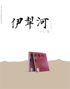 伊犁河2019年6期