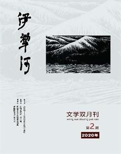伊犁河2020年2期