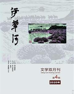 伊犁河2020年4期