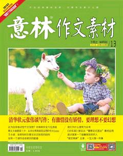 意林·作文素材2016年13期