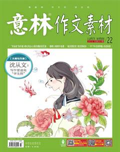 意林·作文素材2016年22期