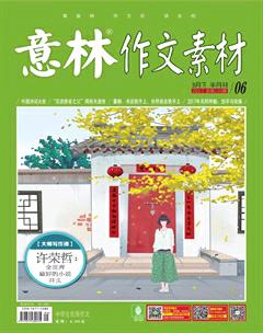 意林·作文素材2017年6期