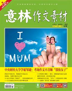 意林·作文素材2017年11期