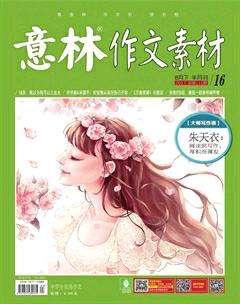 意林·作文素材2017年16期