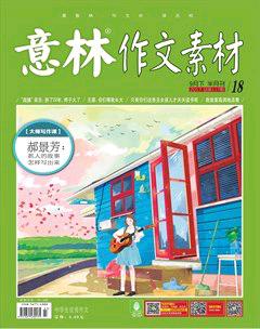 意林·作文素材2017年18期