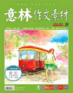 意林·作文素材2017年20期