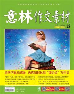 意林·作文素材2017年23期